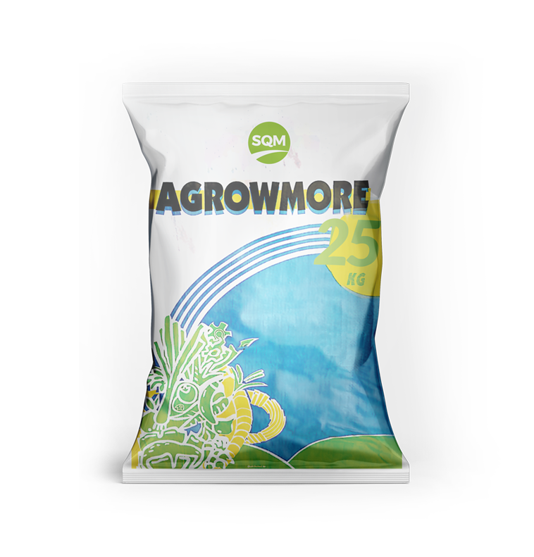 Agrowmore 12-12-34